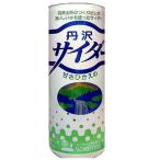 【5/19(火)限定！ポイント+4％！】サイダー ソーダ 炭酸 創健社 丹沢サイダー 250ml