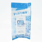 クールボディシート
