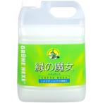 ショッピング緑の魔女 緑の魔女キッチン業務用5L