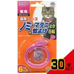  лекарство для блохи *ma клещи ..&amp; комары .. ошейник кошка для розовый × 30 пункт 