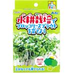 てのひら実験室 水耕栽培でブロッコリースプラウトを育てよう 1セット