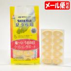 【メール便15】イボコロリ ウオノメパッド 足うら用 (10個入) 横山製薬 corn
