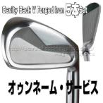 JX^ Il[ tH[Wh LreBobN V tH[Wh ACA 5{ Zbg (Fitting Custom Forged Cavity back V Iron 5set) nNu