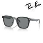 Ray-Ban レイバン サングラス RB4392D 645087 66mm トランスペアレントグレー 紫外線 UVカット 国内正規品 保証書付