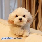  собака .. maru сыр мягкая игрушка нежный игрушка игрушка Kids она подарок подарок симуляция игрушка симпатичный подарок 