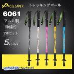 トレッキングポール 2本セット 1本