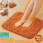 節電 あったか 敷きパッド パット 毛布 クッション マイクロファイバーフリース 蓄熱保温 温感 暖かい 温い あたたかい 暖暖あったかどこでもパッド