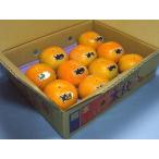 Yahoo! Yahoo!ショッピング(ヤフー ショッピング)太秋柿３．５kg箱（熊本県産：10〜14玉）（熊本芦北：ＪＡあしきた）