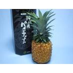  Gold barrel сосна 1 шар (3L~4L) в коробке ( Okinawa север часть производство :JA....)