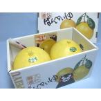 ショッピング文旦 晩白柚２Ｌサイズ(赤秀)２玉化粧箱入(熊本：ＪＡやつしろ）