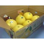 晩白柚Ｌサイズ(無印)６玉入(熊本：ＪＡやつしろ）