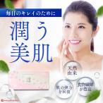 潤い サプリ サプリメント ホワイトニングパウダー 淳 1箱 30袋 30日 天然成分 ケア 送料無料