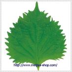 グルメシート　大葉　丸　１００枚包装