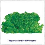 グルメシート　グリーンリーフ　丸　（１００枚包装）×１袋