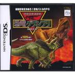 恐竜グランプリ/ニンテンドーDS(NDS)/ソフトのみ