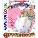 かわいいウサギ/ゲームボーイ(GB)/中古/箱・説明書あり