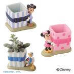 セトクラフト DISNEY ミニプランター ギフト　ドナルドダック・SD-5483-180