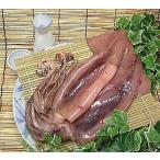  есть перевод .. соленое и высушенное в течение ночи 3 кубок ввод тихоокеанский кальмар соленое и высушенное в течение ночи. сушеный кальмар .. сушеный продукт почтовый заказ кальмар соленое и высушенное в течение ночи 