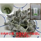 めかぶ茶 （芽株・ワカメ芽かぶ）芽かぶ茶 乾燥メカブ茶 乾燥品：50g×2袋入 めかぶ 訳あり