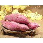  батат Fukui префектура производство батат ... золотой час 5kg Satsuma клубень Satsuma клубень прошлое в то время как. .. ... тест ..... еда чувство . особенность. 