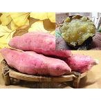 ... Satsuma клубень почтовый заказ 10kg входить Fukui префектура . Кагосима производство батат .. .. товар вид рассада. культивирование товар батат Satsuma клубень . - .. алый Hal ka жарение клубень рецепт есть 