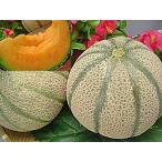  Marseille дыня Fukui префектура производство Marseille дыня 1 штук входит 