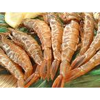  Fukui производство ....(... и больше. ..!?)gasa креветка 1kg др. .. название., тигр креветка * газ креветка Echizen креветка gama креветка ....toge черный The ko креветка doro креветка 