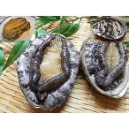 a...3 штук морское ушко .. морское ушко . морское ушко . местного производства ... sashimi для .... тоже включая доставку цена ... наложенный платеж расчет. не возможно 