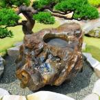 つくばい 珪化木 木化石 手水鉢 水鉢 大きい 庭石 天然石 溜まり石 木の化石 大型 豪華 景石 飾り石 和風 庭園 たまり石 蹲 日本庭園 置物 オブジェ 縁側 玄関