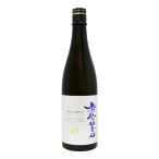 鳳凰美田 酒未来 SAKE FUTURE 生もと造り 純米大吟醸酒 無濾過本生 720ml ほうおうびでん さけみらい