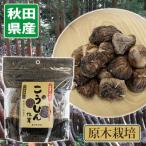 [ Akita скала замок блок сельское хозяйство .]. дерево культивирование ......40g[ без добавок * нет пестициды ] низкотемпературный сухой ..... горячая вода возврат 15 минут!...... шиитаке 