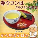 沖縄 健康茶 春ウコン茶 ティーバッ
