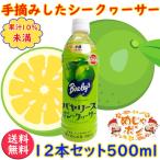 バヤリース シークワーサー 沖縄 シークワーサージュース ペット 沖縄バヤリース  PET 500ml ×12本 お土産 おすすめ