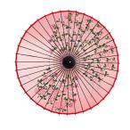 山本竹細工屋 （YAMAMOTOTAKIZAYIKUYA) 和傘 絹傘 桜絵 継柄 踊り傘 (赤色)
