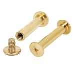 INCREWAY 5mm X 25mm 30pcs バインドネジ スクリューバインディング