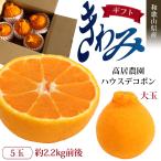 ショッピングデコポン 大玉 デコポン きわみ 高居農園 5玉 2.2キロ ギフト用 贈り物 家庭用 自宅用 箱買い 甘い みかん 和歌山県産 産地直送 2.2キロ