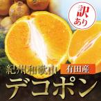 訳あり デコポン 10.0kg 無選別 ご家庭用 有田 箱買い 産地直送 送料無料 10kg 送料無 甘い おいしい 美味しい 10キロ 自宅用 訳アリ 果物 フルーツ