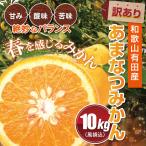 訳あり 和歌山 有田産　春 みかん あまなつみかん 甘夏  10.0kg 送料無料 10kg 甘い おいしい 10キロ 果物 フルーツ