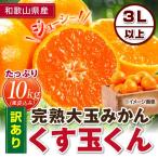 完熟みかん くす玉くん大玉 産地直送 訳あり 箱買い 家庭用 和歌山県 10kg 有田みかん 10.0kg 10キロ 訳アリ みかん 甘い