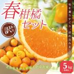 ショッピング訳アリ 訳あり 春柑橘 セット 5.0kg 福袋 訳アリ みかん 送料無料 送料無 5kg 自宅用 箱買い 家庭用 5キロ 送料込み 果物 フルーツ