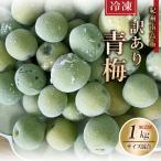 【冷凍】 訳あり 冷凍青梅 紀州南高梅 青梅 1kg 1キロ 不揃い（M〜4L） ジュース用 梅酒用 うめ ウメ 青うめ 加工用 家庭用　産地直送 箱買い 生梅