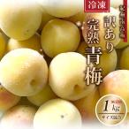 【冷凍】 訳あり 冷凍完熟青梅 紀州南高梅 青梅 1kg 1キロ 不揃い（M〜4L） ジュース用 梅酒用 うめ ウメ 青うめ 加工用 家庭用 産地直送 箱買い 生梅
