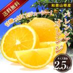 バレンシアオレンジ 送料無料 国産 和歌山産 2.5kg 【ギフト用】 果物 フルーツ 美味しい 糖度 甘い 箱買い オレンジ