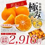  высшее . Arita мандарин 5 kilo Special класс поле. высшее . есть перевод меласса .mi Kansai z смешивание 5.0kg бесплатная доставка коробка покупка прямая поставка от производителя сахар раз перевод есть для бытового использования ...... Wakayama мандарин 5kg