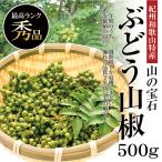 山椒 生山椒 山椒の実 紀州和歌山 特産 産地直送 ぶどう山椒 500ｇ 実山椒 国産 調味料 スパイス さんしょう おいしい