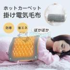 ホットカーペット 電気毛布 ホットマット タイマー機能 敷きマット 過熱防止 一人用 ひざ掛け 在宅勤務 防寒 暖か