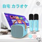 カラオケ 家庭用 カラオケセット 子ども カラオケマイク ワイヤレスマイクシステム 2ハンドヘルドマイク 子供 スピーカー bluetooth おしゃれ pc キャンプ 車内