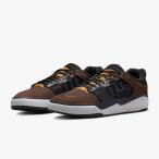 ナイキSBアイショッド・ウェアプレ...