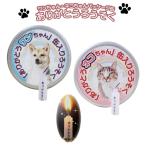  предметы для домашнего буддийского алтаря low sok домашнее животное low sok жестяная банка упаковка спасибо свеча 30 шт. входит one Chan кошка Chan собака кошка домашнее животное ........ три .