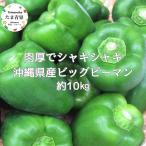 ビッグピーマン 10kg